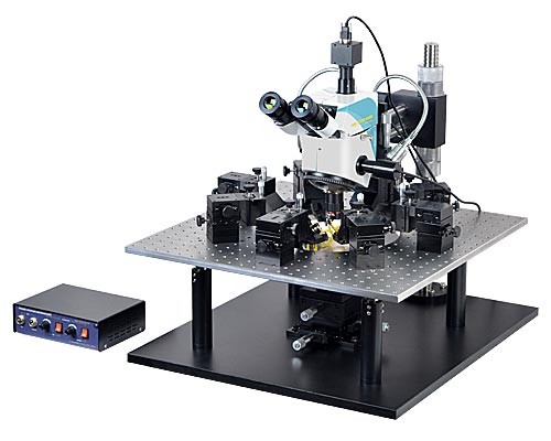 Microscope & Imaging Instruments