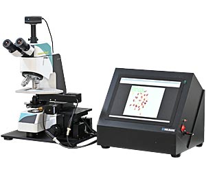 Trinocular Microscope